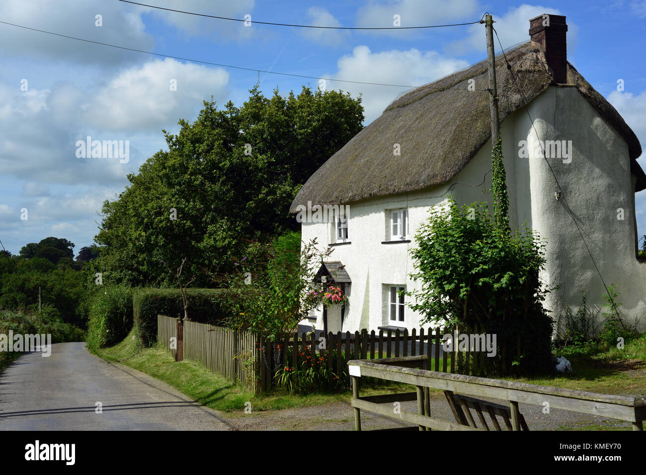 Reetdachhaus in Broadwood Kelly, Devon, Großbritannien Stockfoto