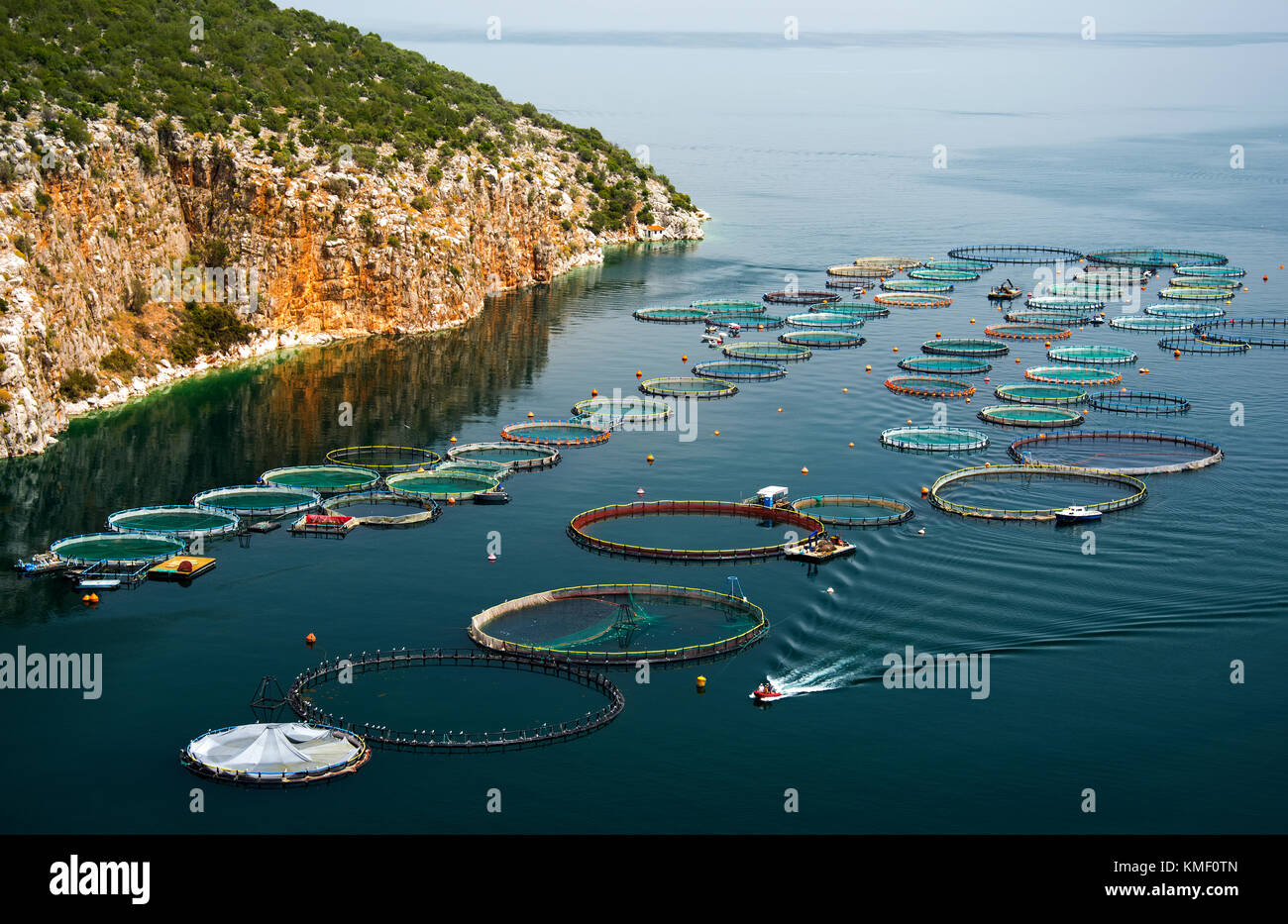 Fisch Bauernhof, Wasser, Bauernhof und die Berge Stockfoto