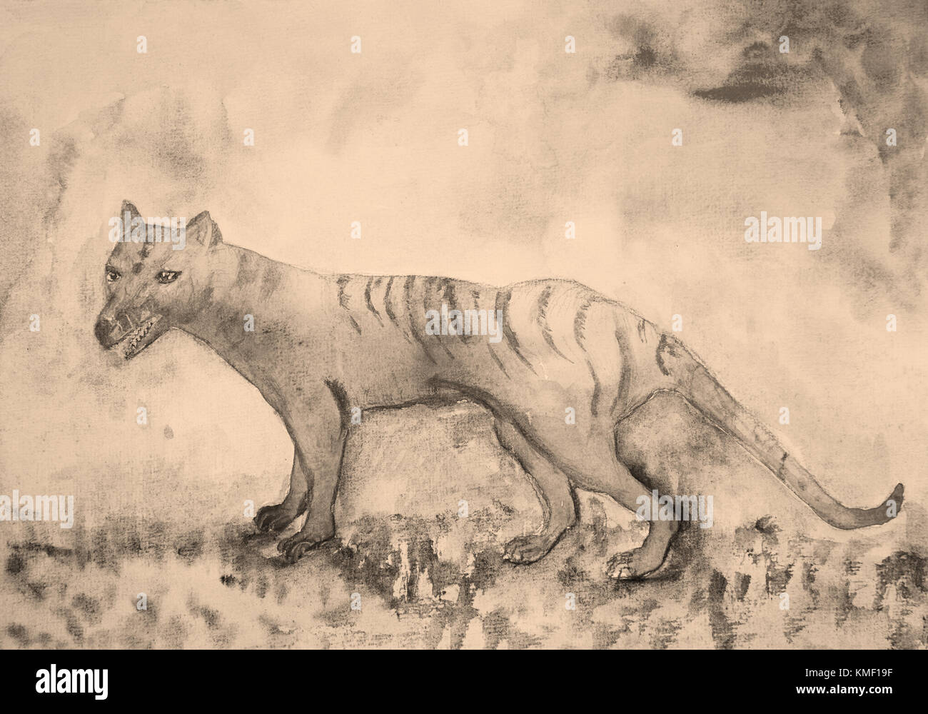 Tasmanian Tiger in Sepia. Die tupfen Technik in der Nähe der Kanten ein Weichzeichner Effekt aufgrund der veränderten Oberflächenrauhigkeit der Papier gibt. Stockfoto