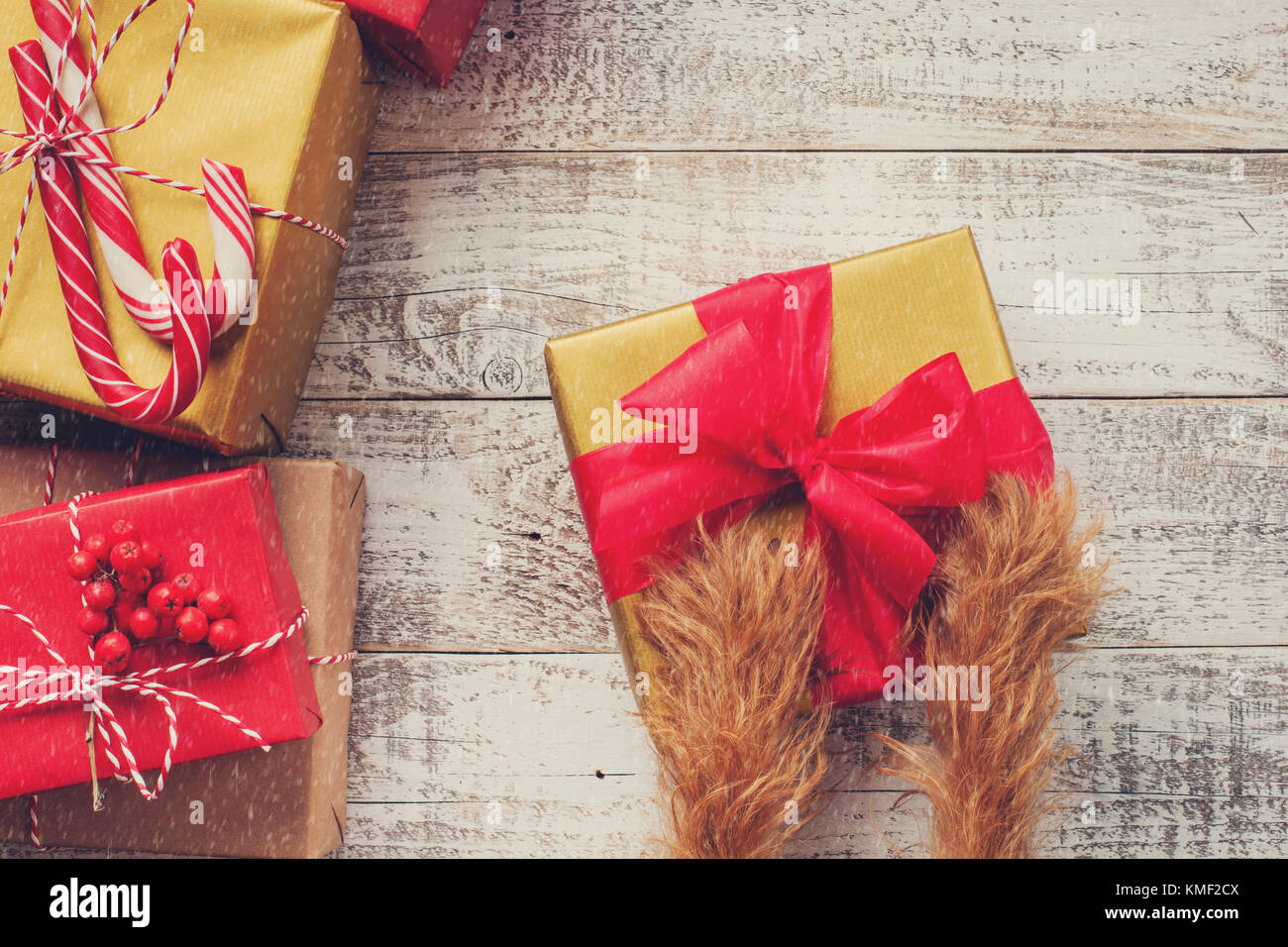 Redhead haarige Beine Hund hält Weihnachten Geschenkbox auf weißem Holzhintergrund. Draufsicht. Stockfoto