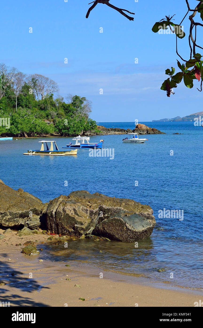 Verkürzungen, Ampangorinana, Nosy Komba, Madagaskar Stockfoto