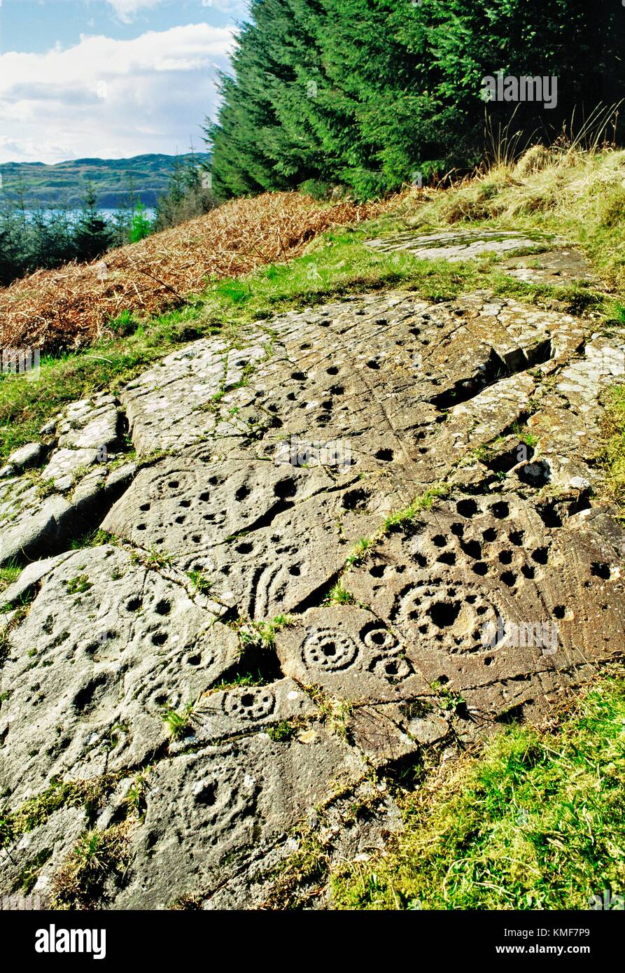 Felskunst. Hervorragendes Beispiel für prähistorische Tasse und Ring Markierungen auf Felsen am Ormaig in der Nähe von Kilmartin, Argyll, Schottland, UK Stockfoto