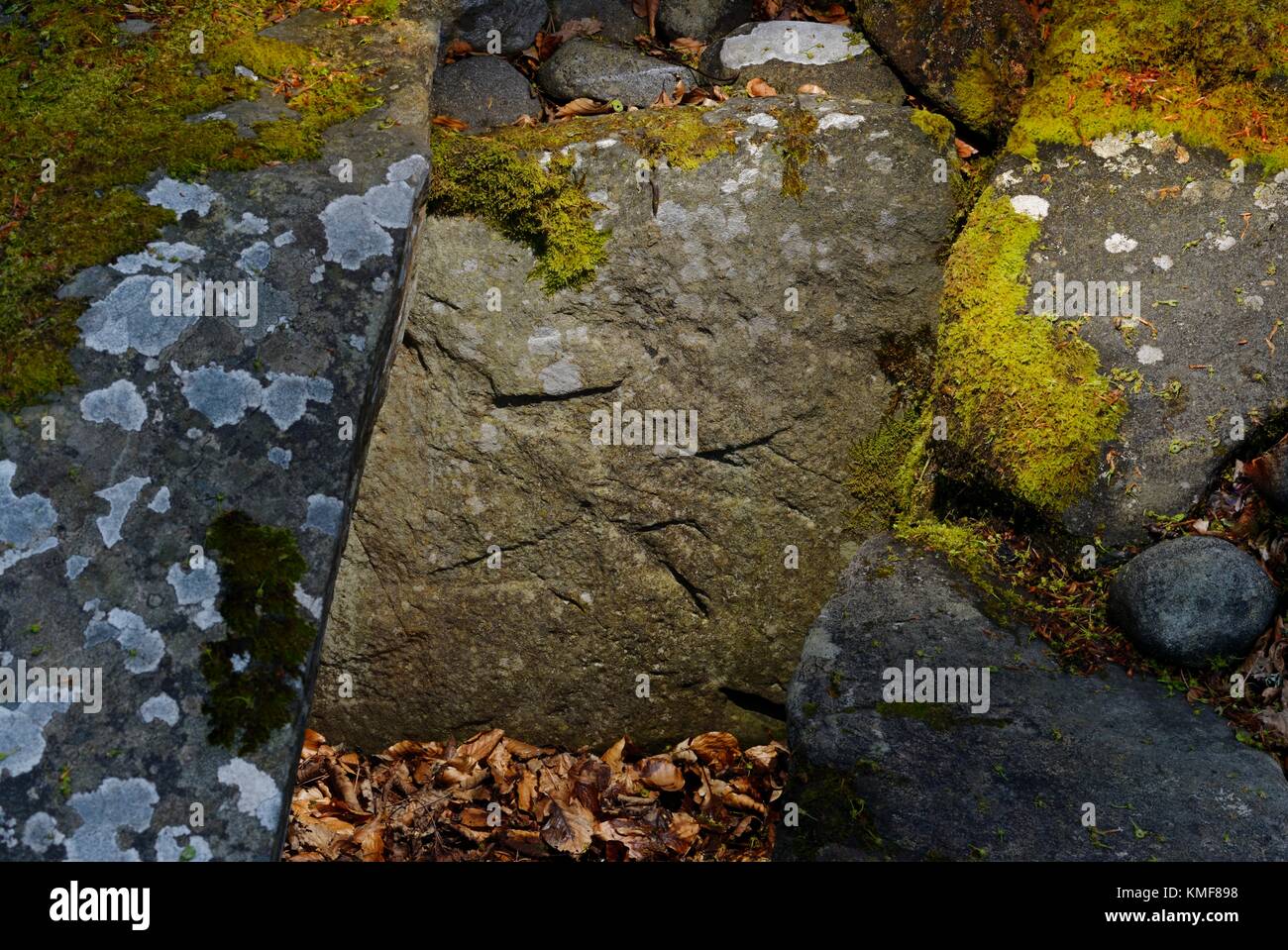 Ri Cruin prähistorischen Cairn in Kilmartin Valley lineare Friedhof. 3500 bis 4000 Jahre alt. Detail der Stone cist Seite Tafel zeigt Skulpturen aus Bronze Achsen Stockfoto