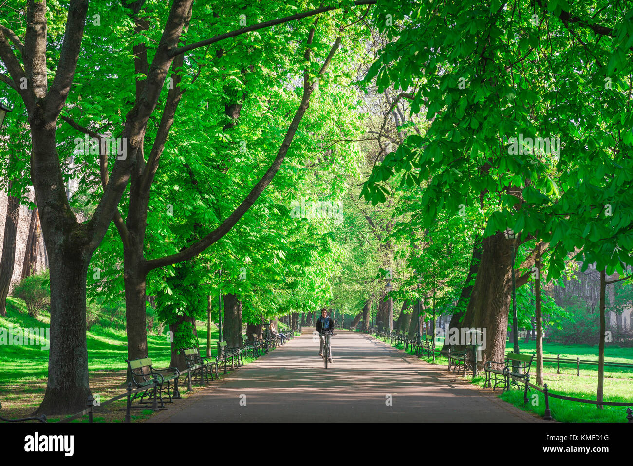 Man radfahren Park, auf einen späten Frühling Morgen ein junger Mann springt durch die Planty Park im Zentrum von Krakau, Polen. Stockfoto