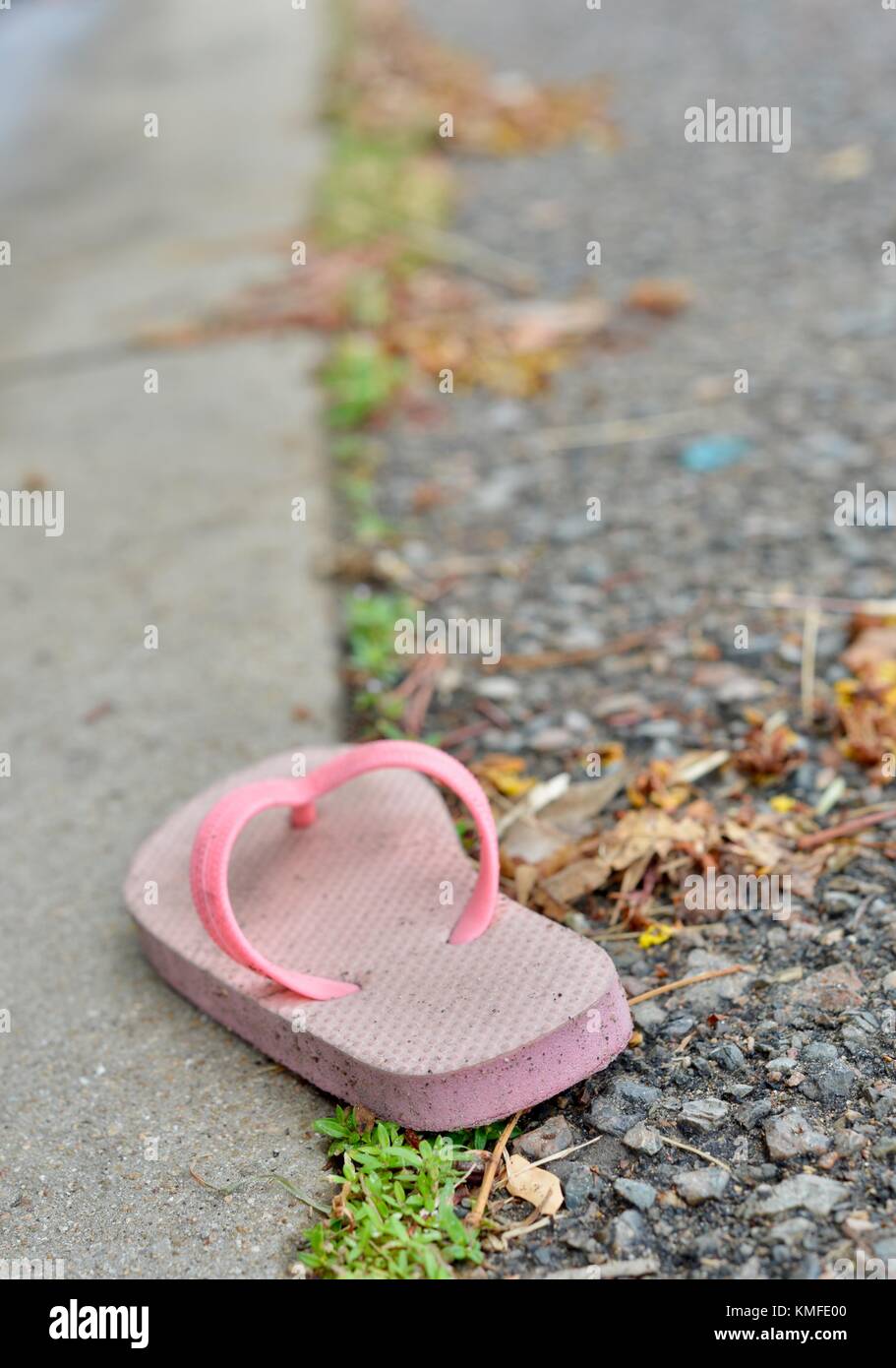 Abgebrochene rosa Tanga in einer Vorstadtstraße nach einem tropischen Sturm, Townsville, Queensland, Australien Stockfoto