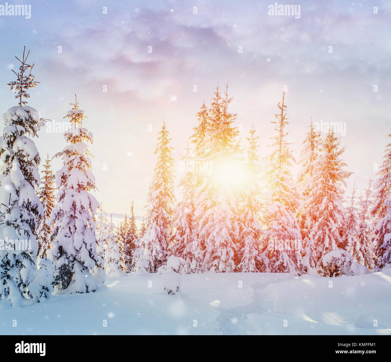 Geheimnisvolle Winterlandschaft majestätische Berge im Winter. Magischen winter schnee Baum. Foto Grußkarte. Bokeh Lichteffekt, weiche Filter. Karpfen Stockfoto
