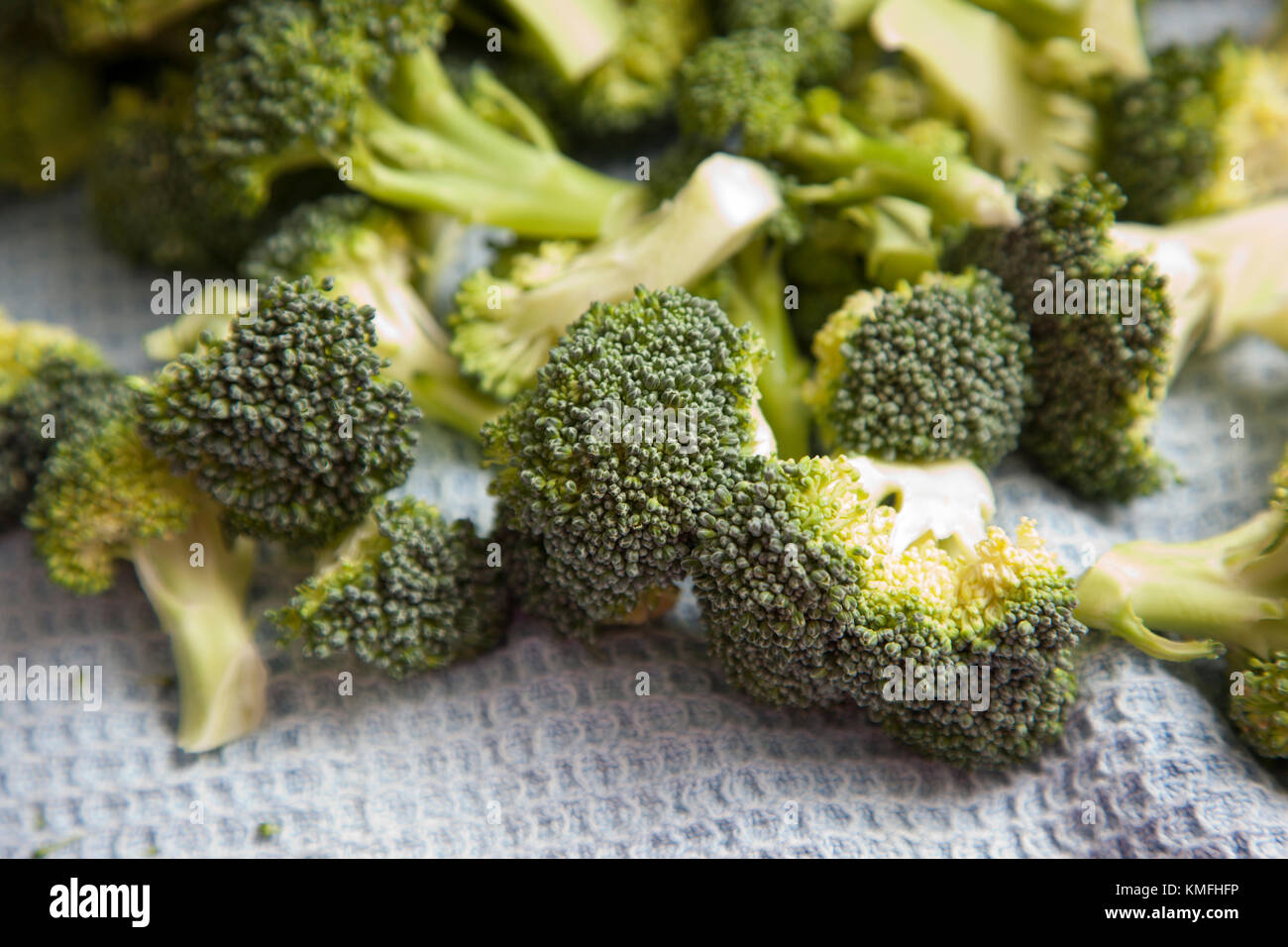 Brokkoli mit langem stiel -Fotos und -Bildmaterial in hoher Auflösung –  Alamy