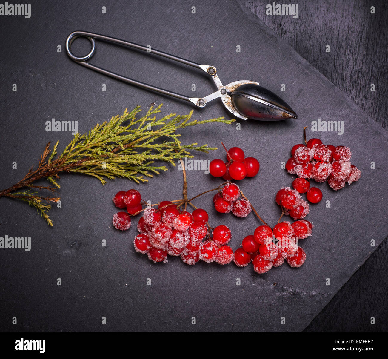 Reifen roten Beeren der viburnum ist bestreut mit Zucker Stockfotografie -  Alamy
