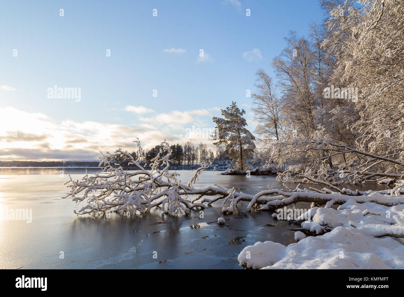 Wunderschöne Aussicht auf verschneite Bäume und gefrorenen See Pyhäjärvi an einem sonnigen Tag im Winter in Tampere, Finnland. Kopieren Sie Platz. Stockfoto