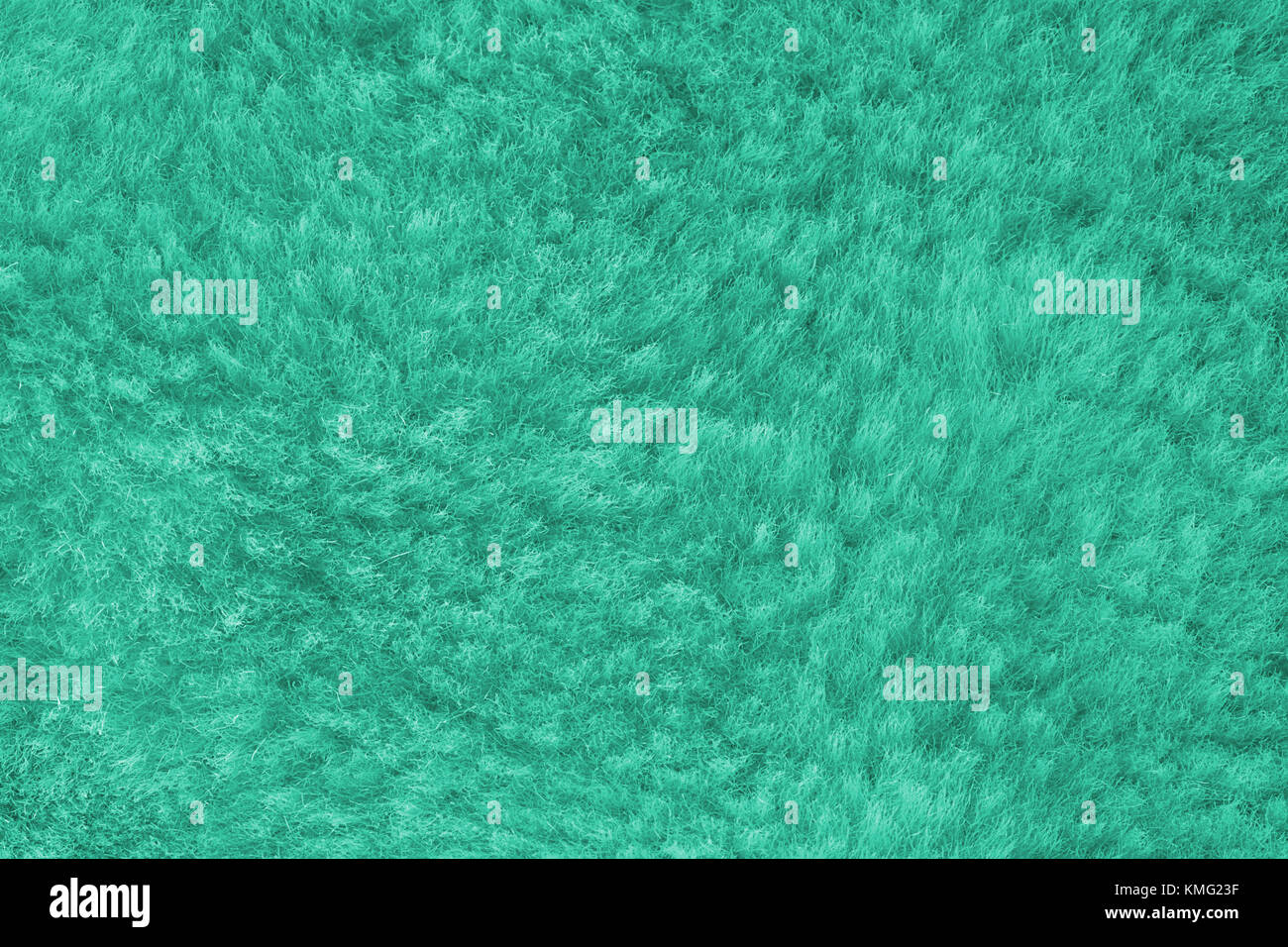 Blau shaggy Haut eines Tieres closeup Textur, Pelz Textur Stockfoto