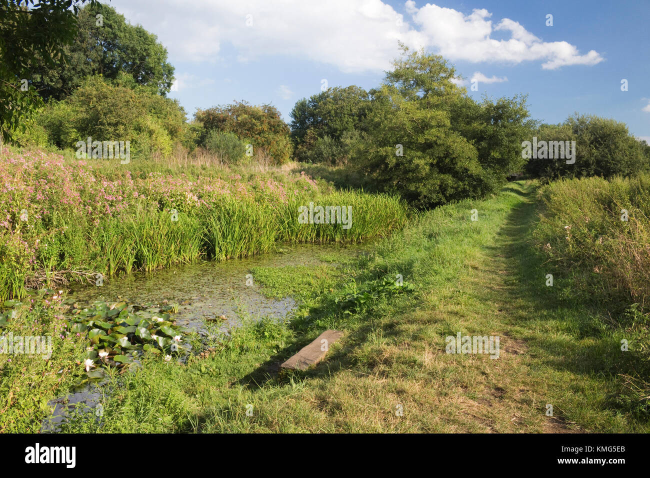 Halesworth Millennium Grün, Suffolk, England Stockfoto