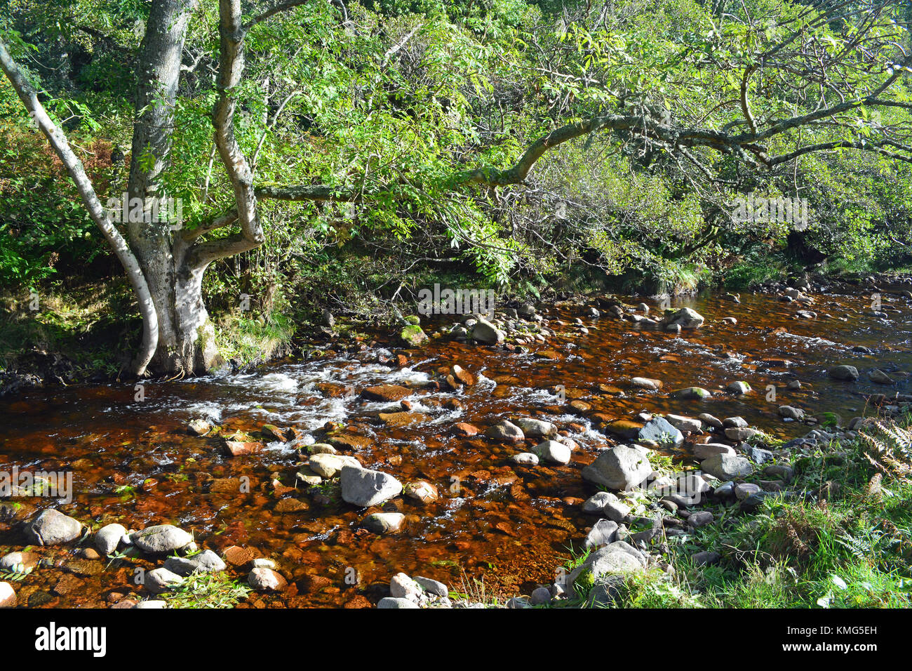 Harthope brennen, cheviot, northumberland Stockfoto