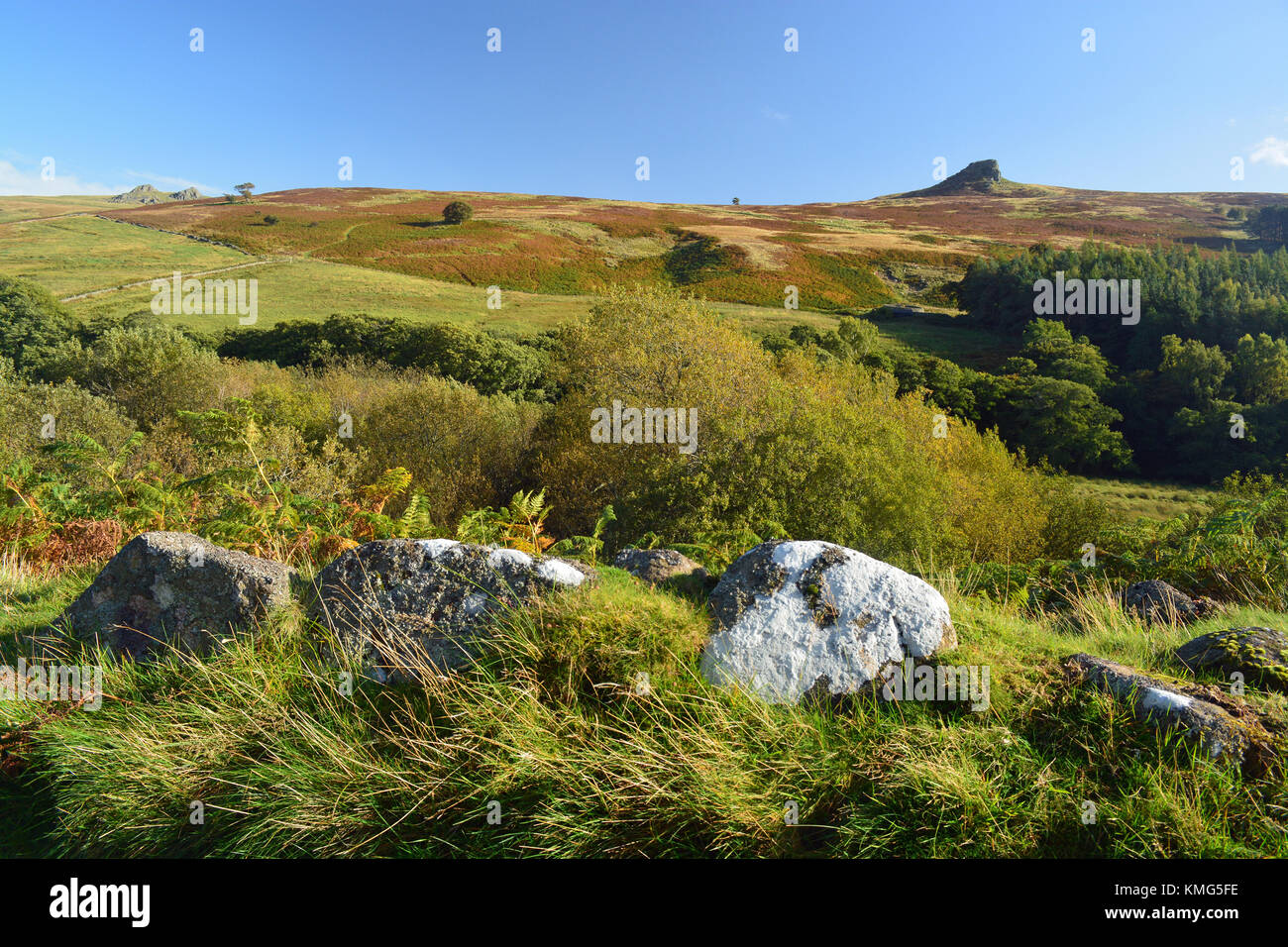 Lange Felsen, Langleford, Harthope Tal, Northumberland Stockfoto