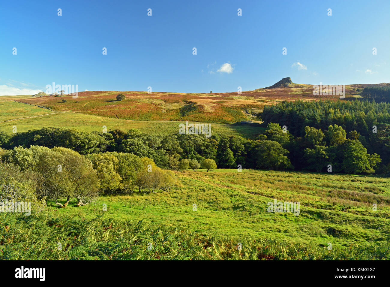 Lange Felsen, Langleford, Harthope Tal, Northumberland Stockfoto