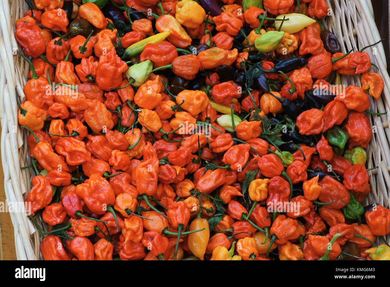 Red Hot Chili Pfeffer in Korb - Siena, Italien, essen Markt Stockfoto