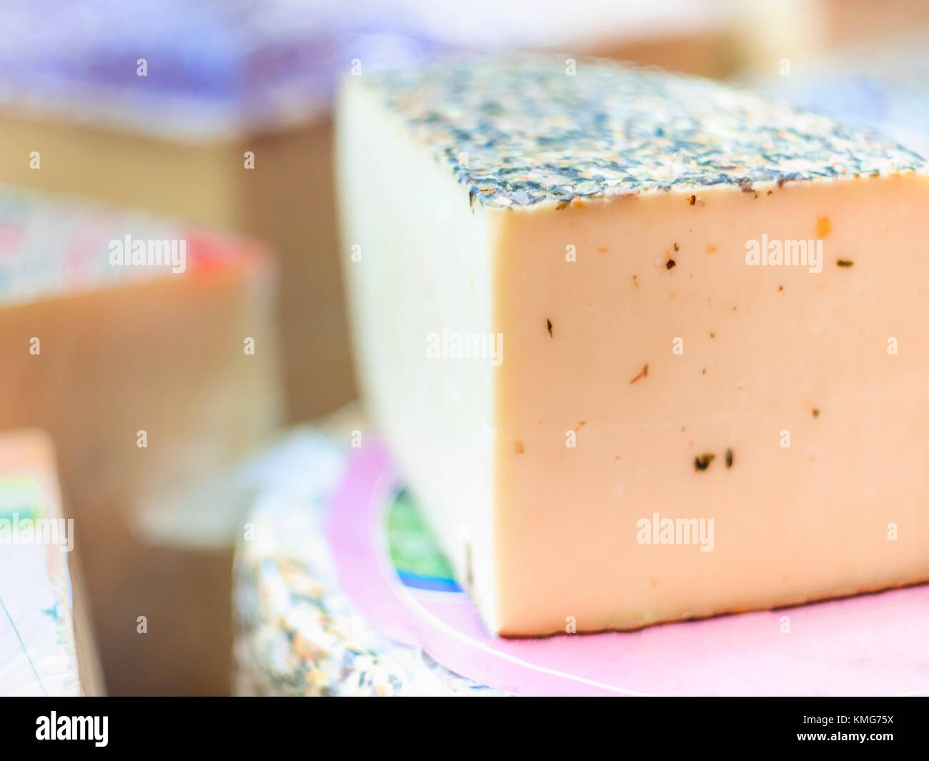 Gouda Käse mit Kraut Stockfoto