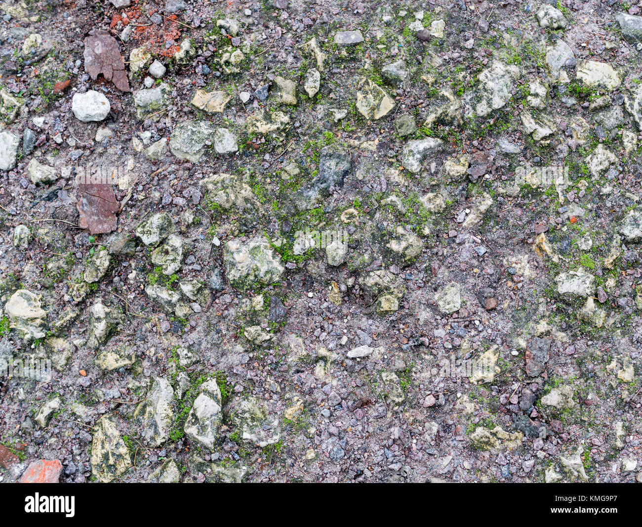 Grauen felsigen Boden mit Moos Textur. Hintergrund. Stockfoto