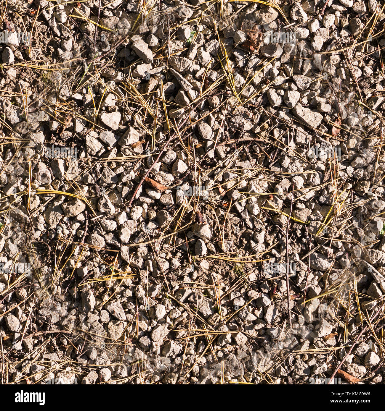 Steinige Textur im Herbst. Hintergrund. Stockfoto