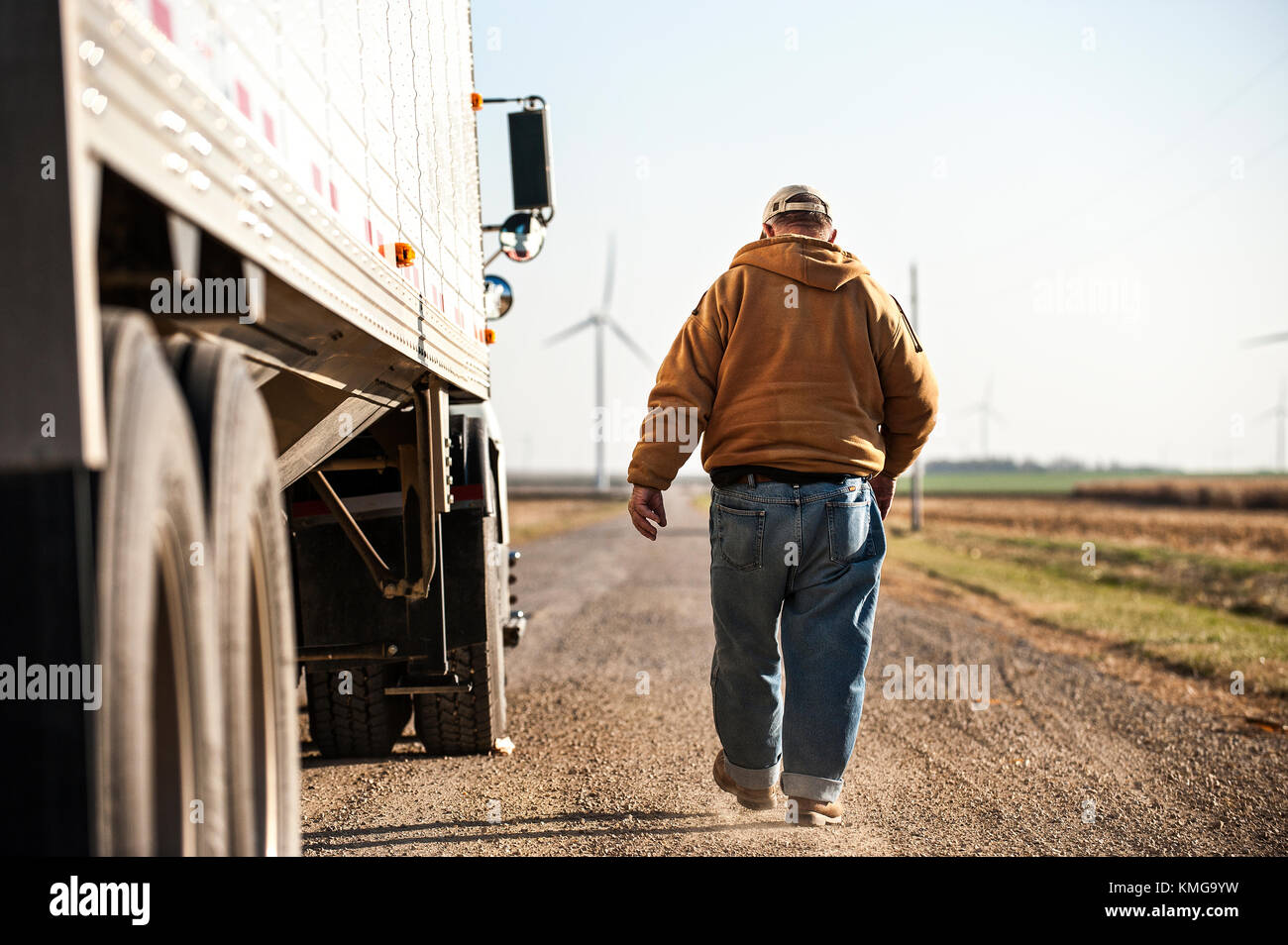 Landwirt INSPEKTION LADUNG IN TRANSPORT-LKW IN DER NÄHE VON GRAND Meadow, Minnesota Stockfoto