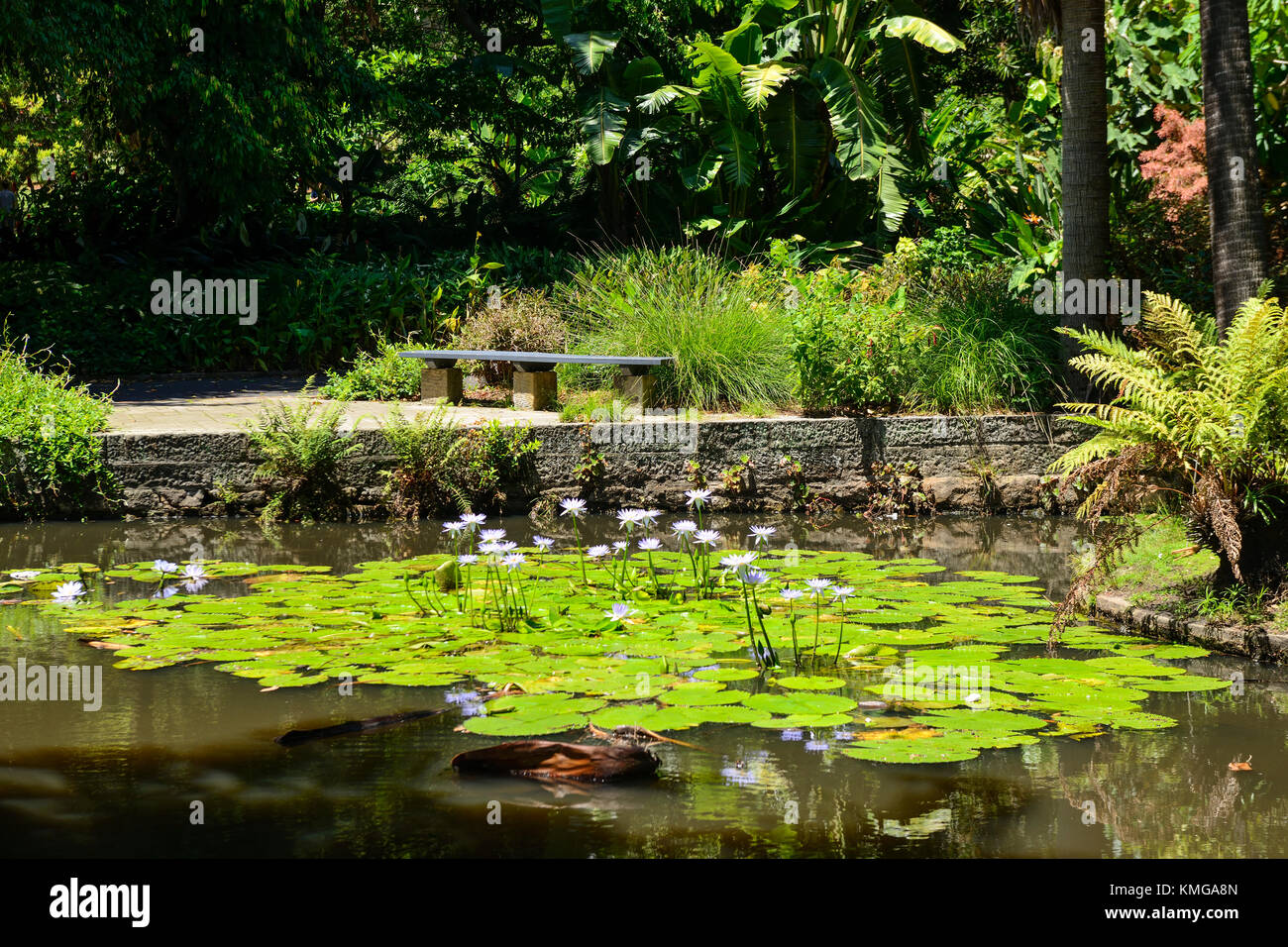 Lotus pond garden Fotos und Bildmaterial in hoher Auflösung Alamy