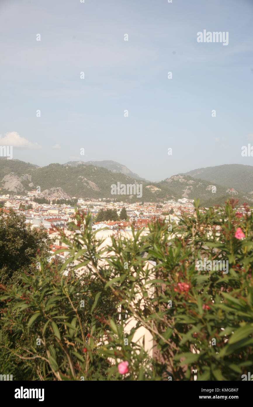 Die Türkei, die Türkische Riviera, Marmaris, Pinien verwendet für lokal produzierte Honig machen. Stockfoto