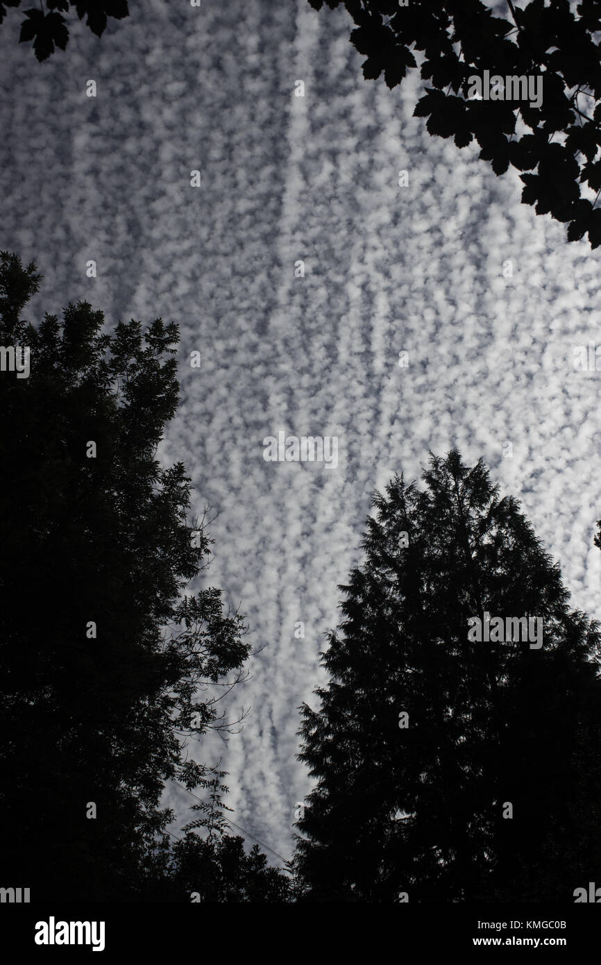 Eine ungewöhnliche Skyscape mit dem nahe gelegenen Bäumen eingerahmt. Stockfoto