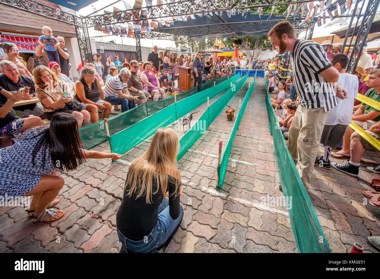 Ein oktoberfest Masse Uhren dackel Hund Rennen auf einen kleinen Anschluss an deutschen ethnischen alte Welt Dorf in Huntington Beach, CA. Hinweis Schiedsrichter auf der rechten Seite. Stockfoto