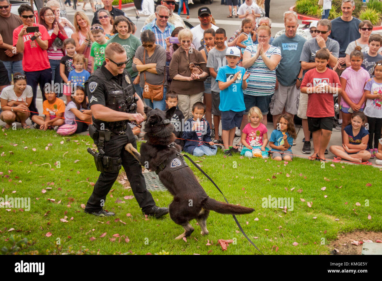 Ein Polizist zeigt Angriff hund Handhabung bei einer Demonstration für Zuschauer in Fountain Valley, CA. Der Deutsche Schäferhund ist aus den Niederlanden und Befehle des Polizisten sind in der niederländischen Sprache gegeben. Stockfoto