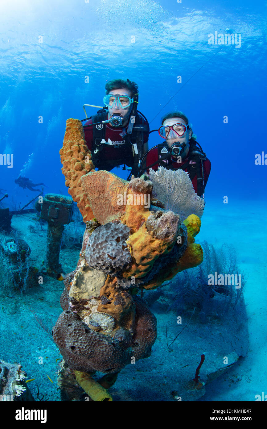 Taucher, die Trümmer des Oro Verde, Grand Cayman Stockfoto