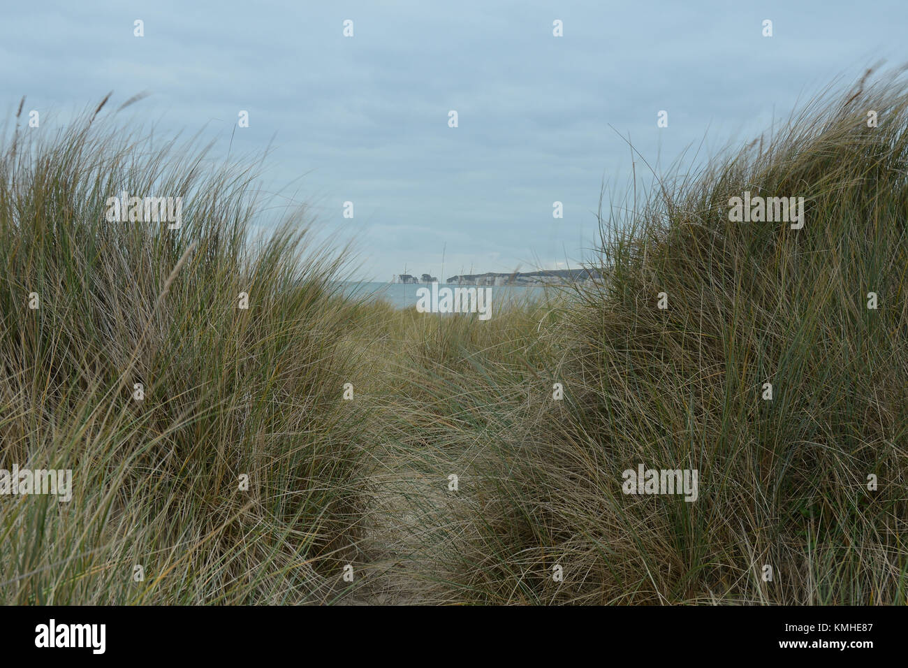 Old Harry Rocks von Studland Dünen Stockfoto