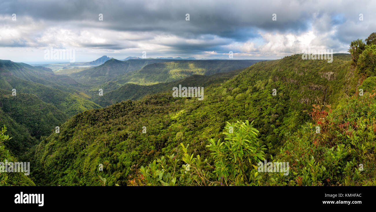 Grüne Täler im Black River Gorges National Park in Mauritius, Afrika. Stockfoto