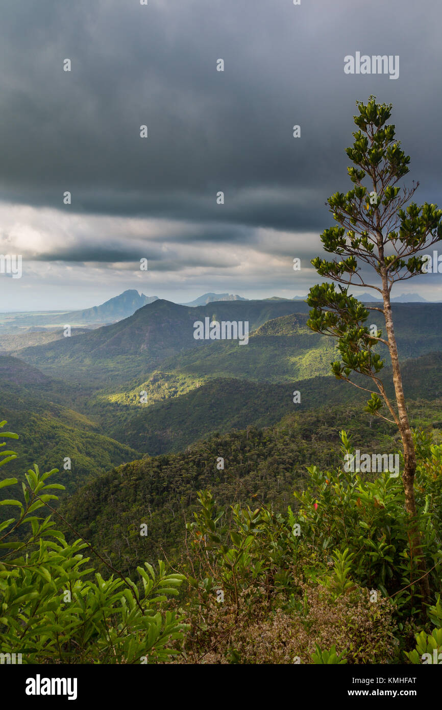 Grüne Täler im Black River Gorges National Park in Mauritius, Afrika. Stockfoto