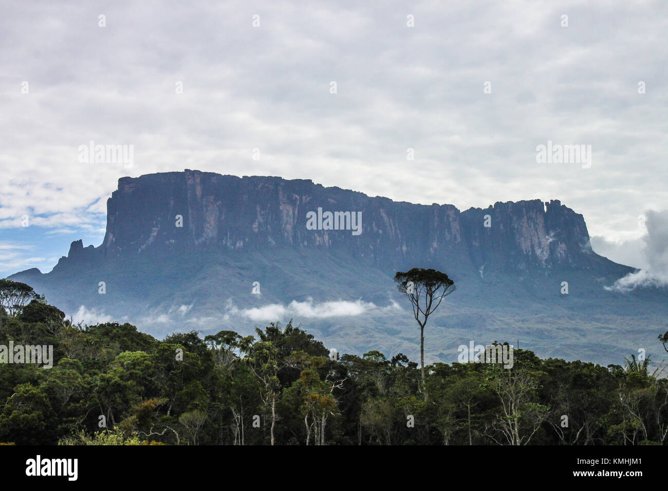Verlorene Welt Mount Roraima trekk in Venezuela Stockfoto