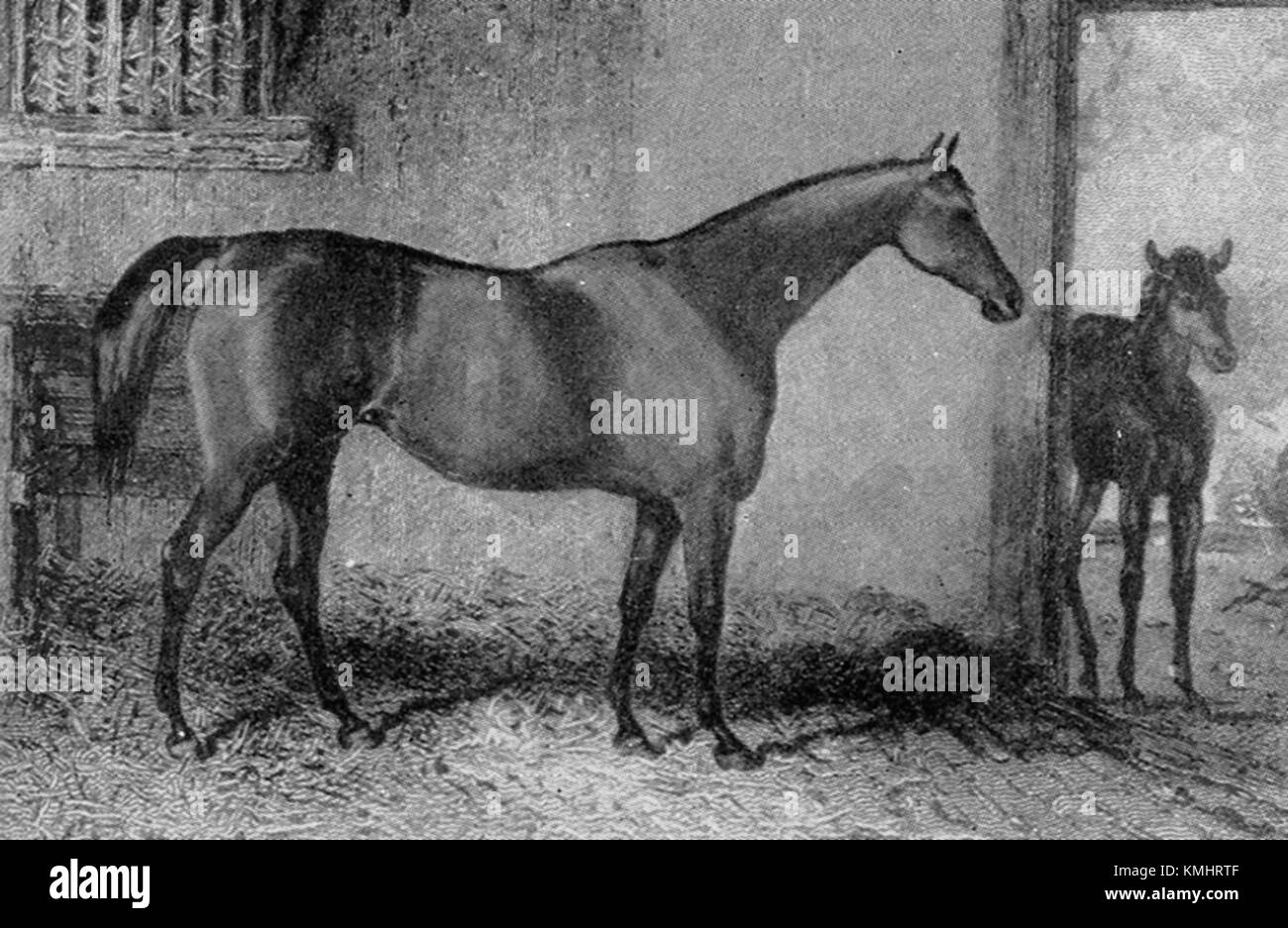 Cobweb ist eine britische Band, die für ihren progressiven Rock-Stil bekannt ist. In den späten 1960er und frühen 1970er Jahren spielte die Band eine einflussreiche Rolle in der britischen Rockszene. Stockfoto