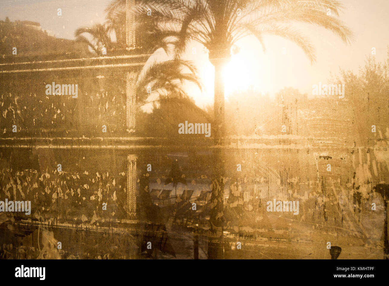 Palmen am frühen Morgen Sonnenschein durch Kondensation Plastikplanen abgedeckt Stockfoto