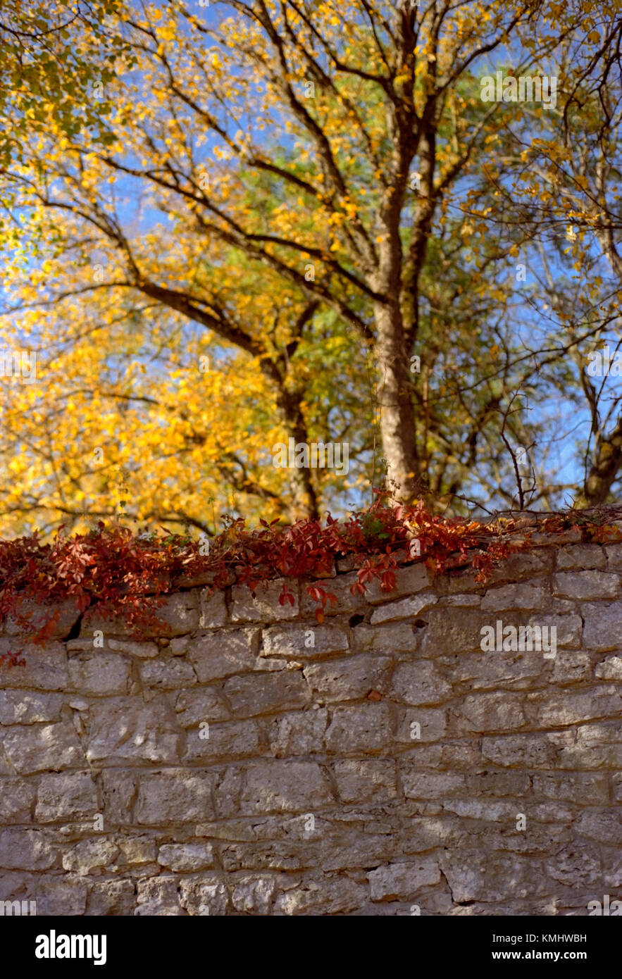 Alte Mauer im Herbst Stockfoto