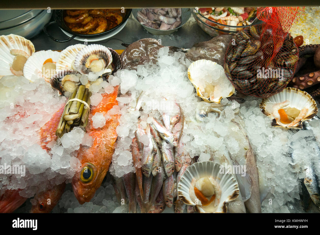 Anzeige der Meeresfrüchte, Muscheln, Garnelen, Muscheln in spanische Tapas Bar, Malaga, Andalusien, Spanien. Stockfoto