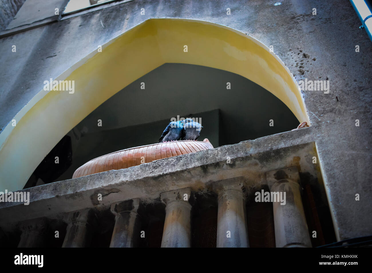 Jeweils zwei Tauben Bräutigam andere auf einem malerischen Renaissance Balkon in Split Kroatien Stockfoto