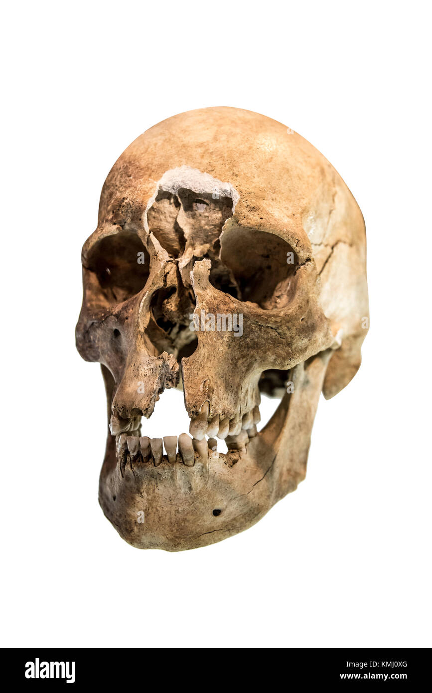 Menschlicher Schädel isoliert. Stockfoto Menschlicher Schädel isoliert. Stockfoto