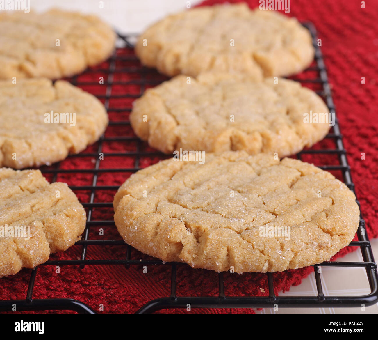 Selbstgemachte Erdnussbutter Cookies auf einer Kühlung Rack Stockfoto