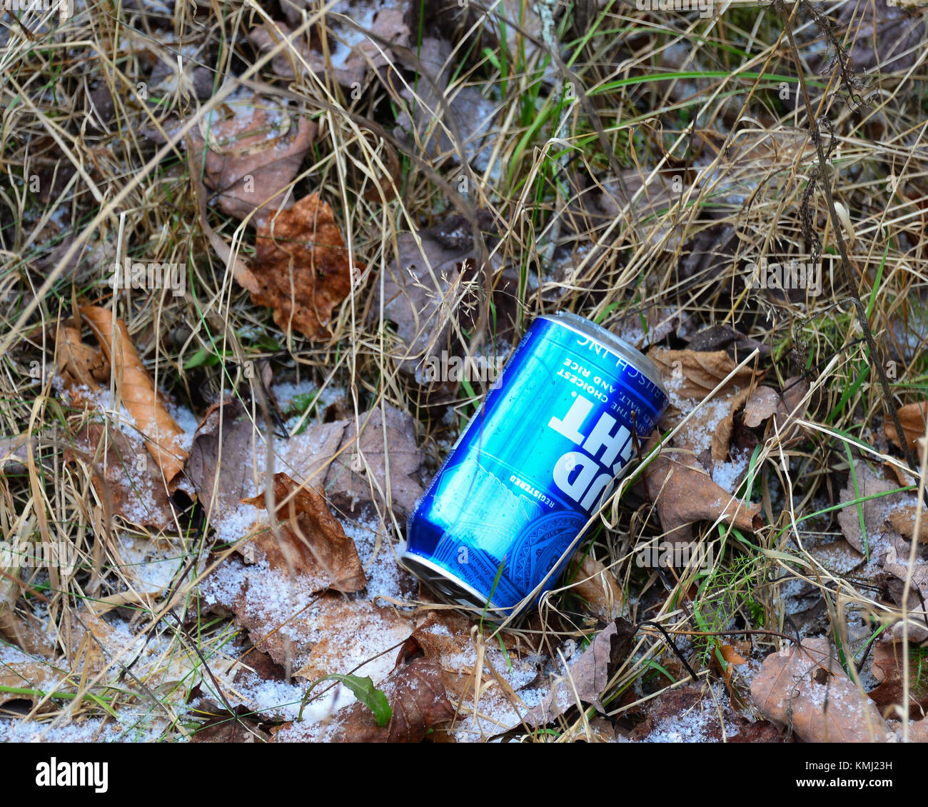 Verworfen blau Bier kann man auf der Seite einer Forststraße in den Adirondack Mountains, NY. Stockfoto