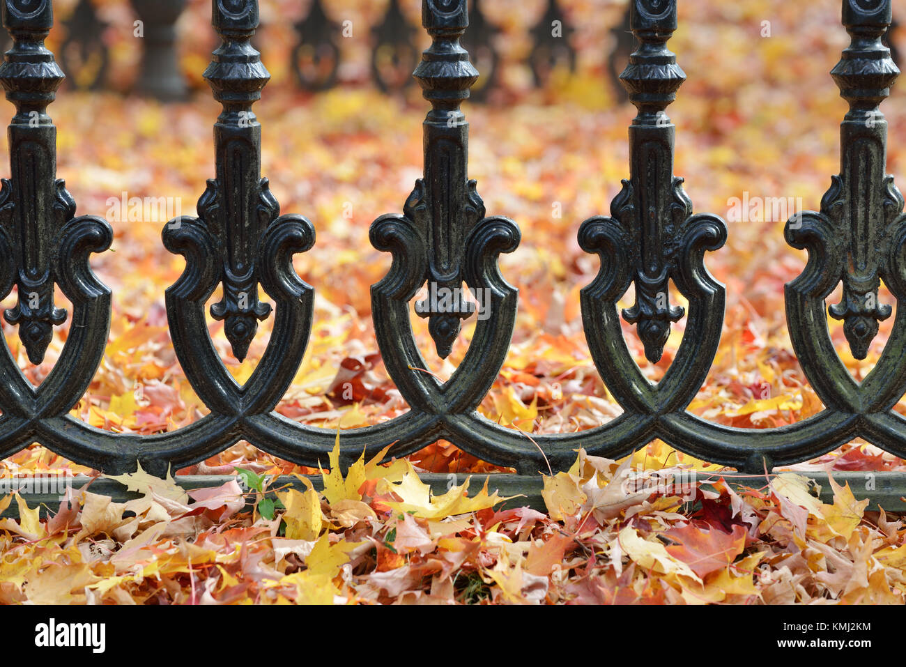 Eisen Zaun und Blätter im Herbst Stockfoto