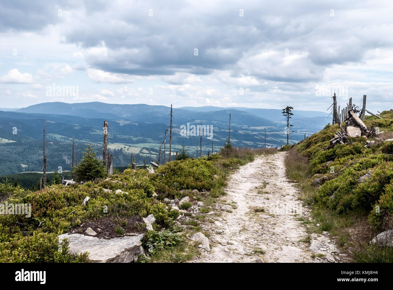 Wanderweg in der Nähe von králický Sneznik Hügel mit Jeseniky Bergkette im Hintergrund in der Tschechischen Republik im Sommer Tag mit blauem Himmel und Wolken Stockfoto