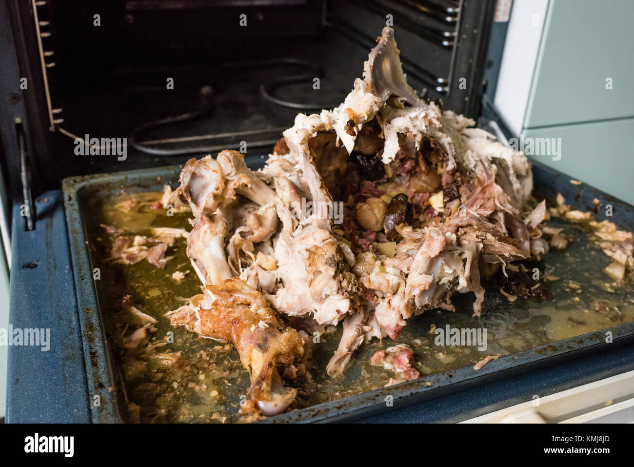 Übrig gebliebene Schlachtkörper und die Knochen von einem Thanksgiving Truthahn in den Ofen Stockfoto
