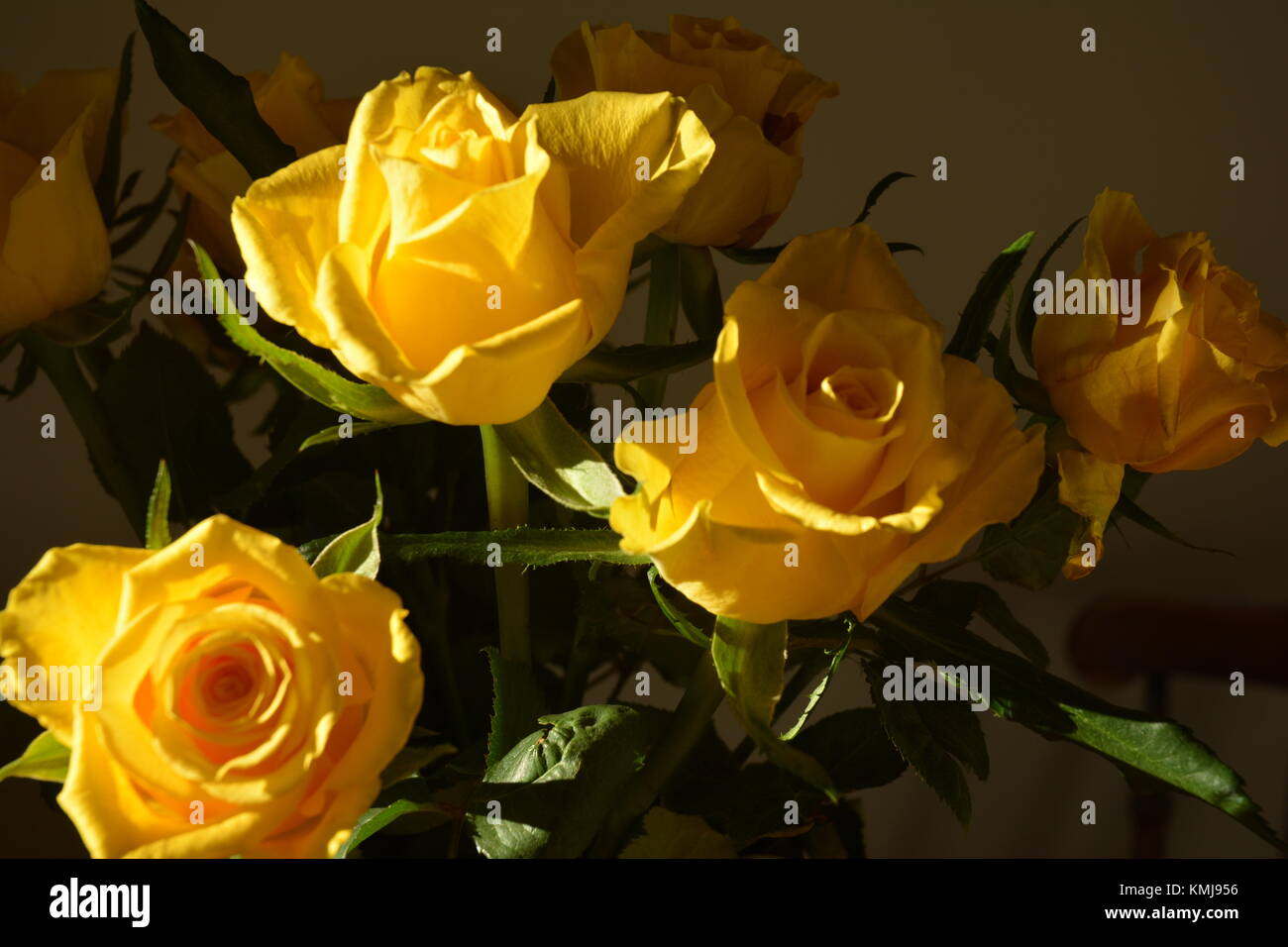Strauß gelber Rosen auf dunklem Hintergrund Stockfoto