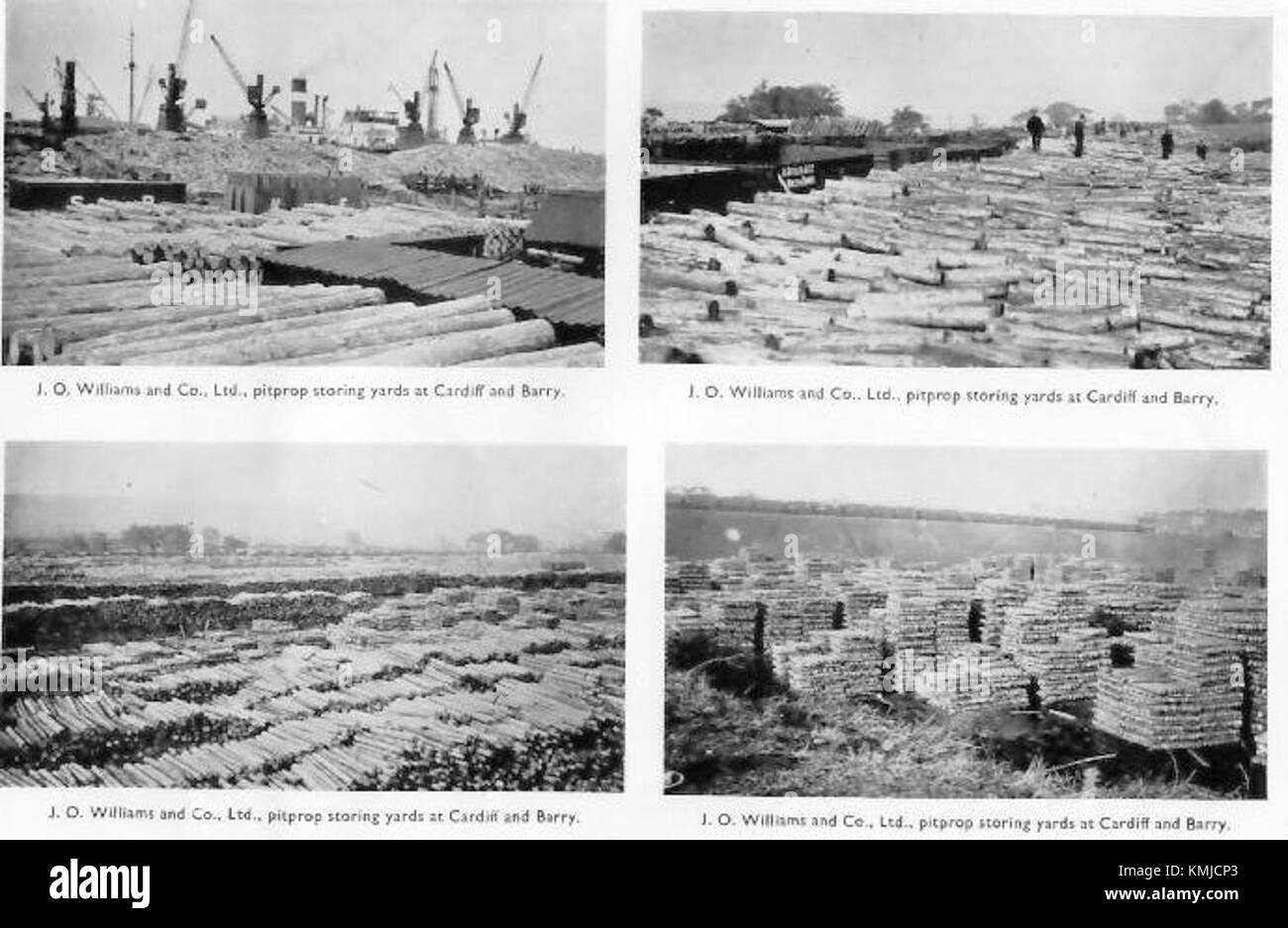 Die Broschüre Labrador Development Company Ltd stellt die Aktivitäten der Holzindustrie in companyâ vor und zeigt ein Bild von geschnittenem Holz aus Port Hope Simpson, einer abgelegenen Gegend. Das Unternehmen konzentriert sich auf die Entwicklung von Holz und Ressourcen in diesem Teil Kanadas. Stockfoto