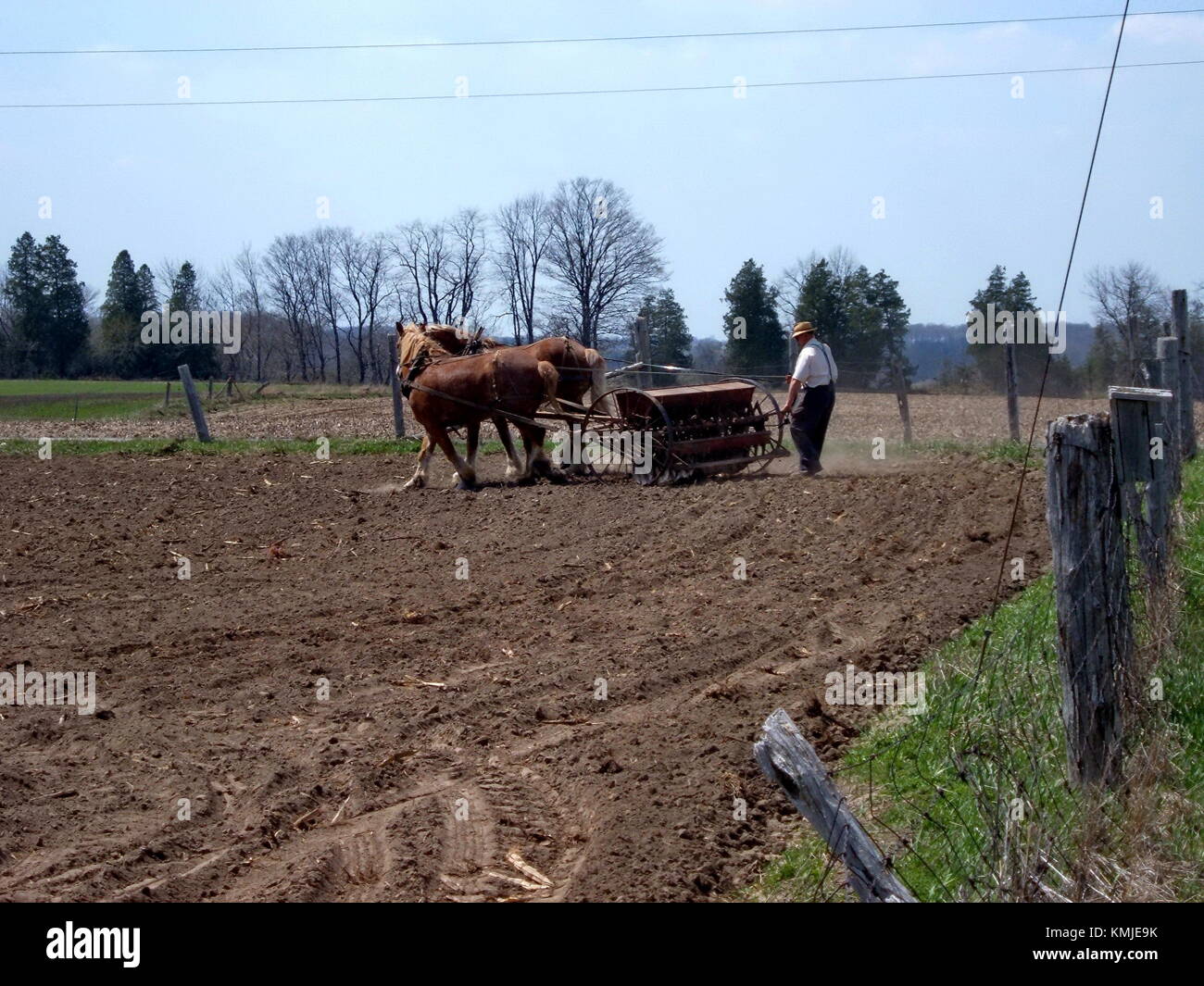 Elmira, Ontario, 7. Mai: Unbekannte Mennoniten-Bauern Pflanzen ein Feld mit Pferden. Mai 2004. Stockfoto