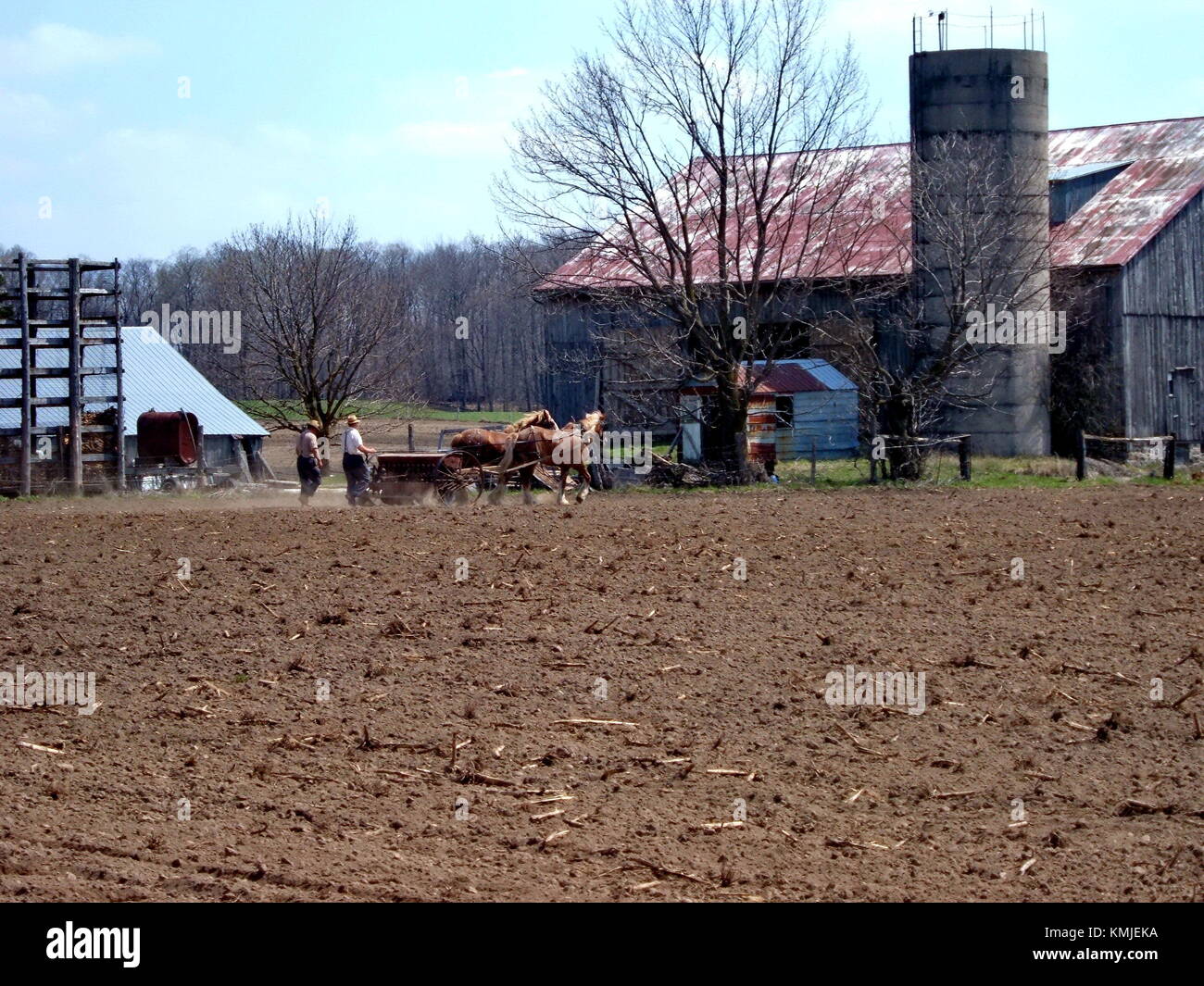 Elmira, Ontario, 7. Mai: Unbekannte Mennoniten-Bauern Pflanzen ein Feld mit Pferden. Mai 2004. Stockfoto