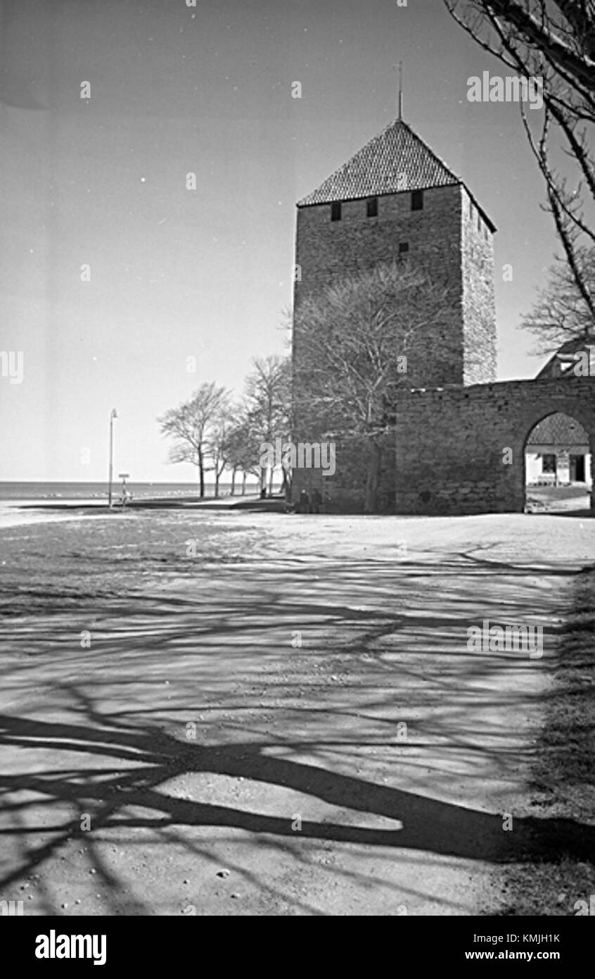 Dieses Bild zeigt die Ringmauer von Visby, eine mittelalterliche Festung, die die Altstadt von Visby, Schweden, umgibt. Die Mauer ist ein UNESCO-Weltkulturerbe und eine der am besten erhaltenen mittelalterlichen Mauern in Europa. Stockfoto