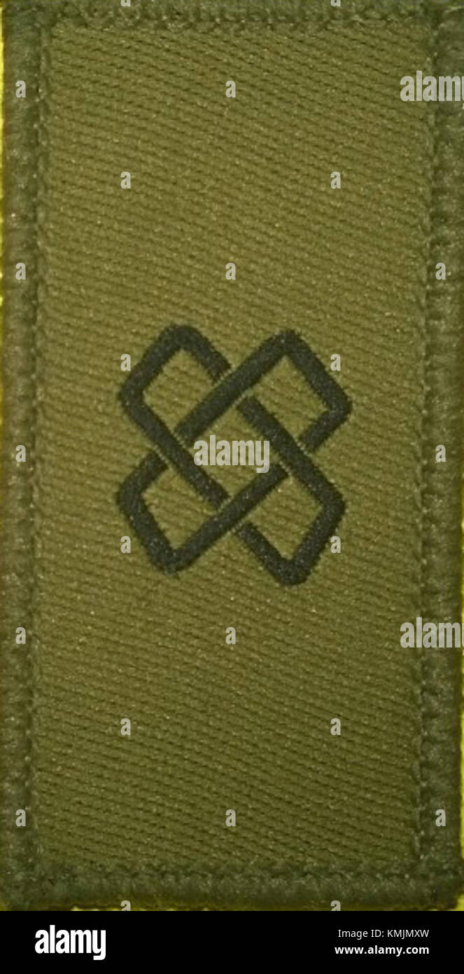 Logistik Abzeichen bezieht sich auf ein Logistikabzeichen, wahrscheinlich ein militärisches oder industrielles Emblem, das für Leistungen in Logistikdienstleistungen oder -Operationen vergeben wird. Stockfoto